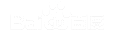 �㶫AI�Ż�
